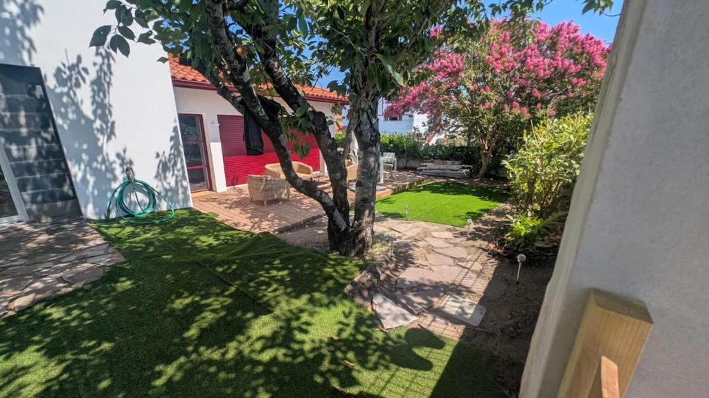 Spacious appartement with garden - 2