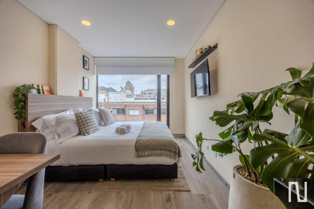 NOK Elegant 1BR Apartment in Chico Norte - 1