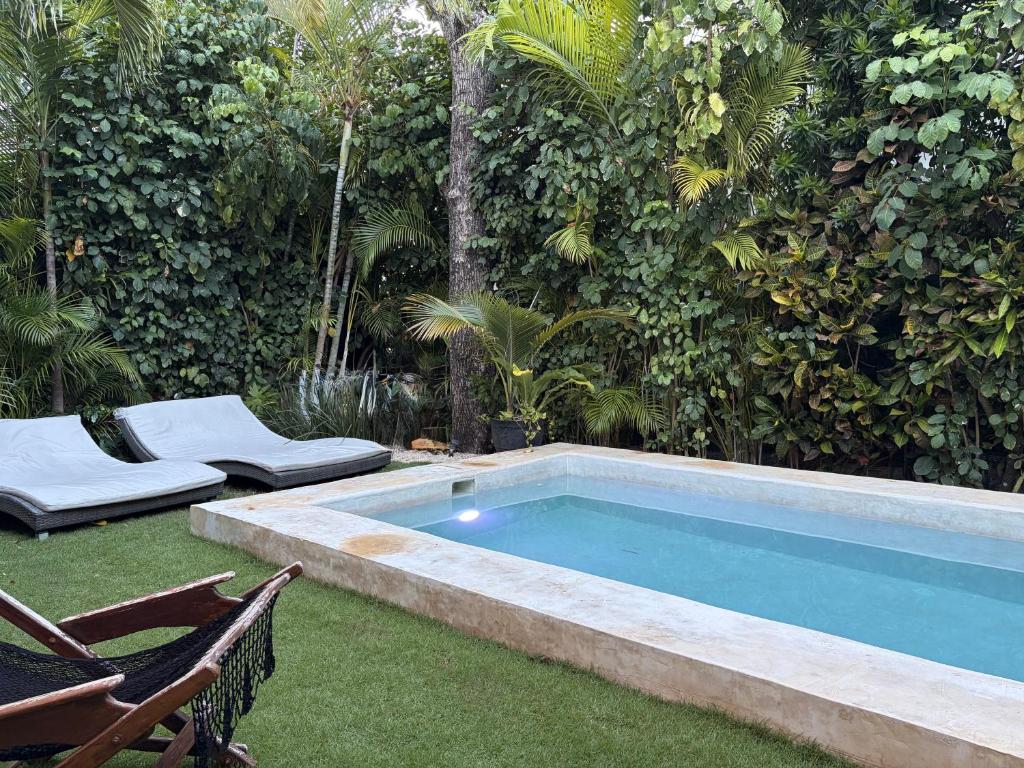 Exclusive Villa Steps from the Beach Playacar - 5