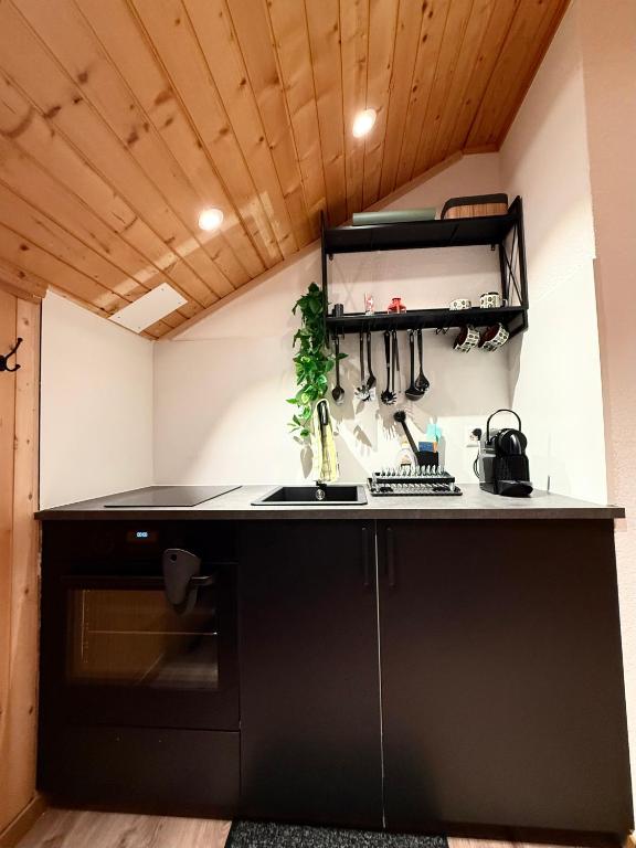 Studio mit traumhafter Aussicht auf den See - 4