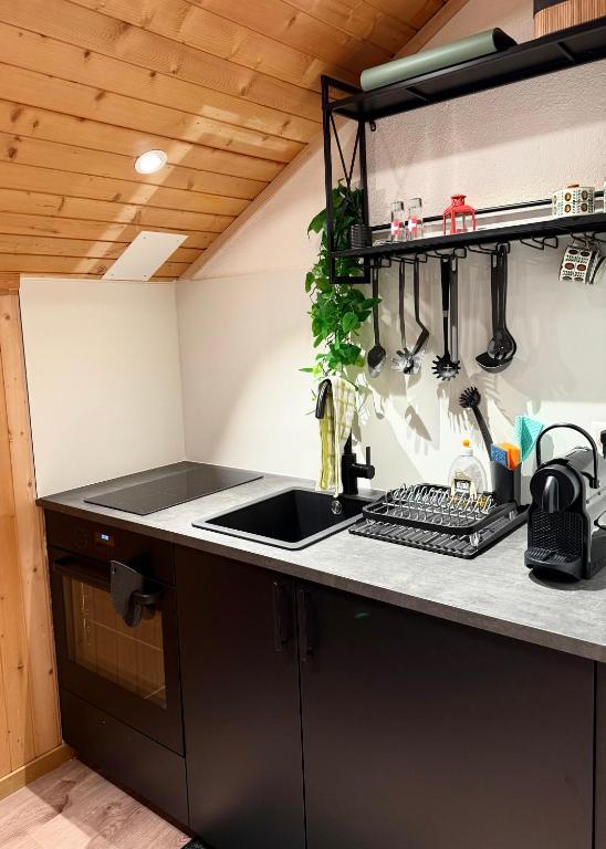 Studio mit traumhafter Aussicht auf den See - 5