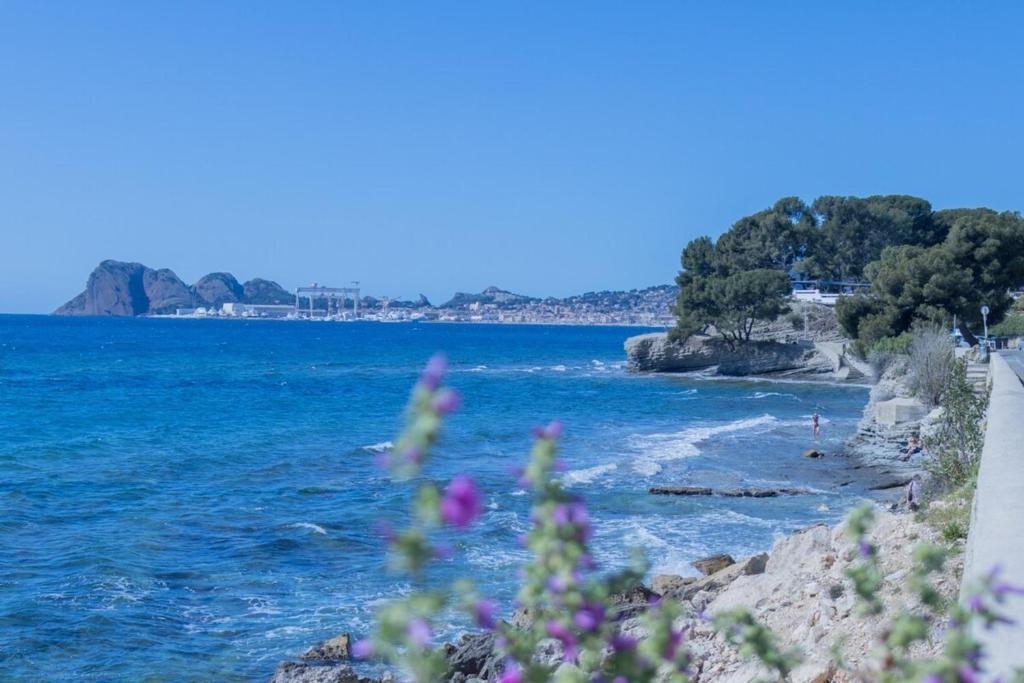 Studio climatisé - Garage privé - Plage à pied - Baie des anges - 3