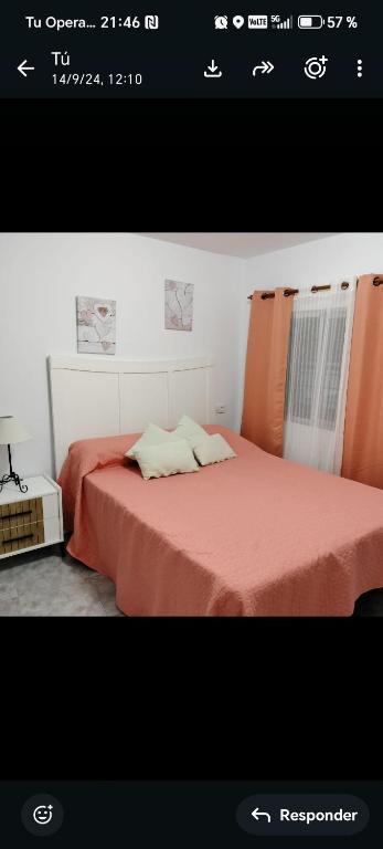 CASA Yoli - 5