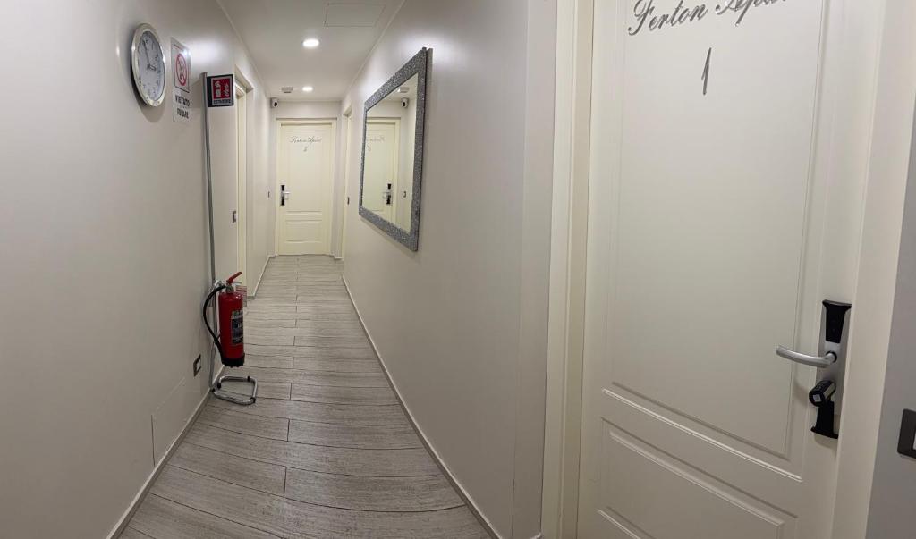 Ferton Apart - 5