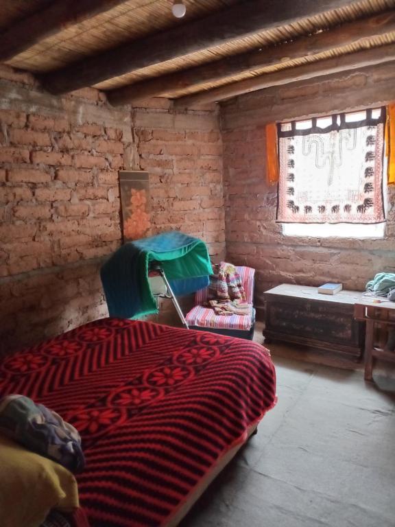 casa domo - 3