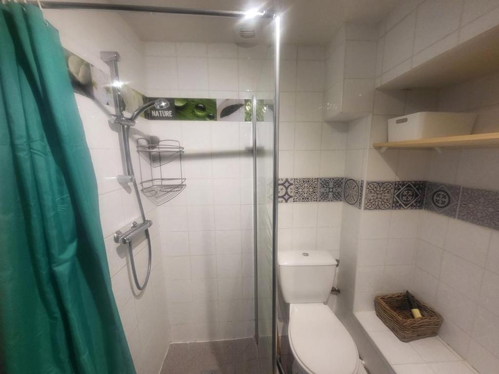 Studio Montgenèvre, animaux OK - FR-1-266-322 - 4