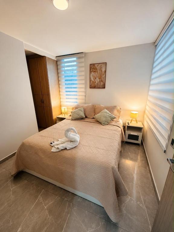 Apartamento central Moderno de lujo y con piscina - 4