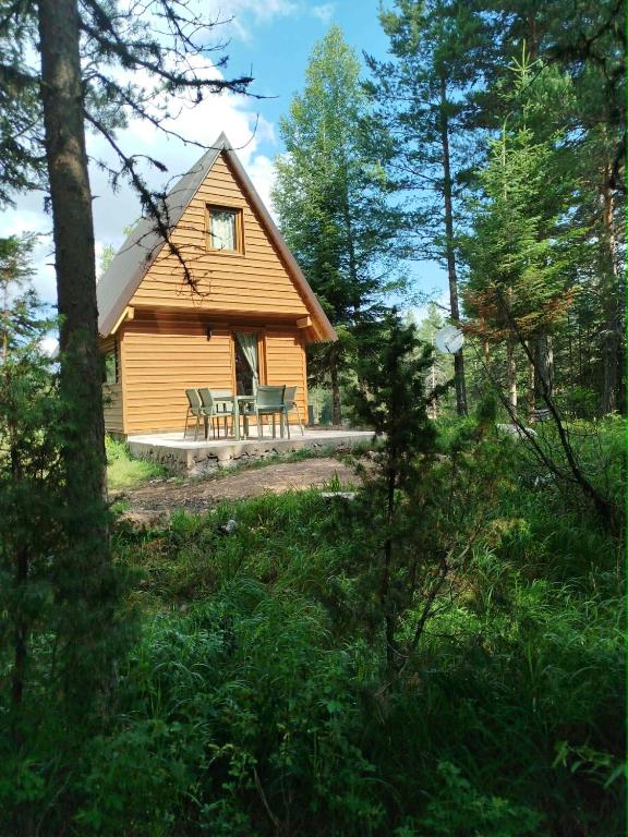 Durmitor Forest Retreat - 1
