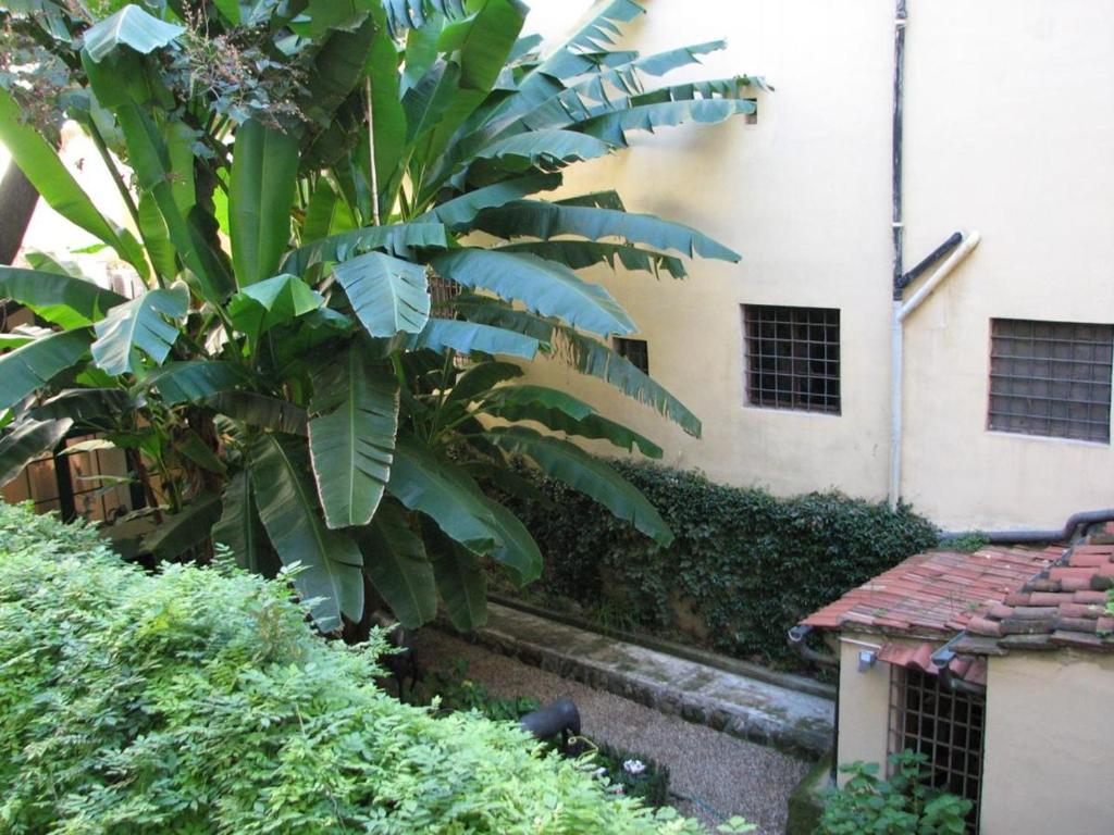Borgo 14 - Residenza fiorentina - 2