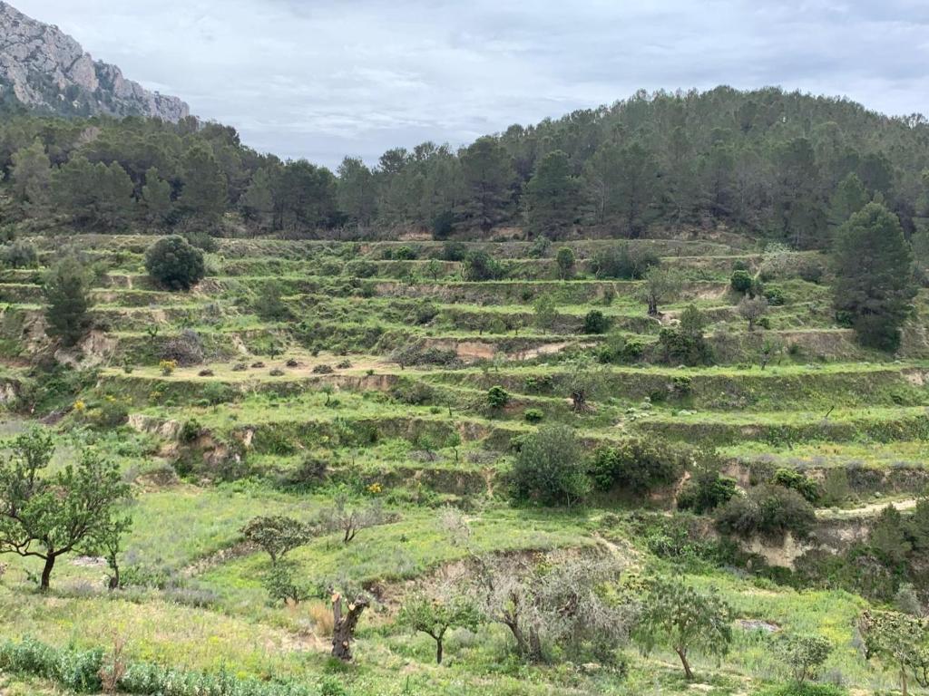 Finca del Ter - 5