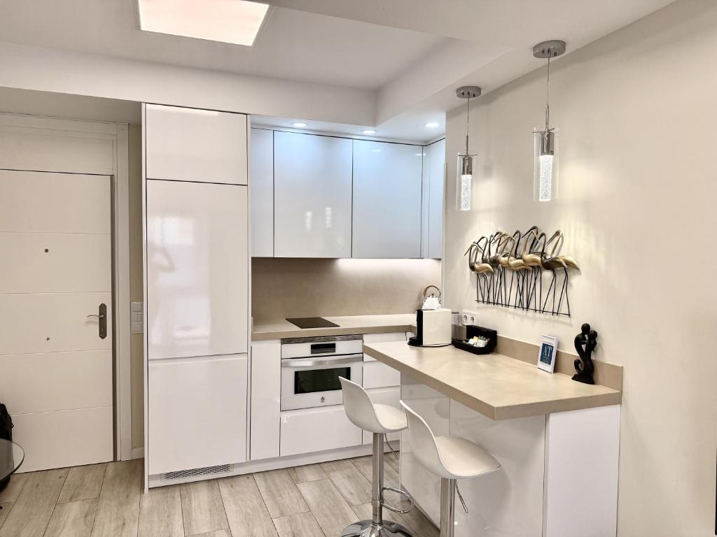 Apt. La Milla de Oro – Barrio Salamanca - 5
