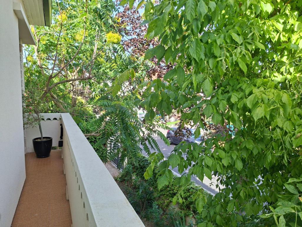 ESCALE - Grand T3 calme - Terrasse - Parking - 3