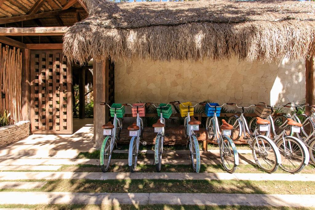 Sports and activities