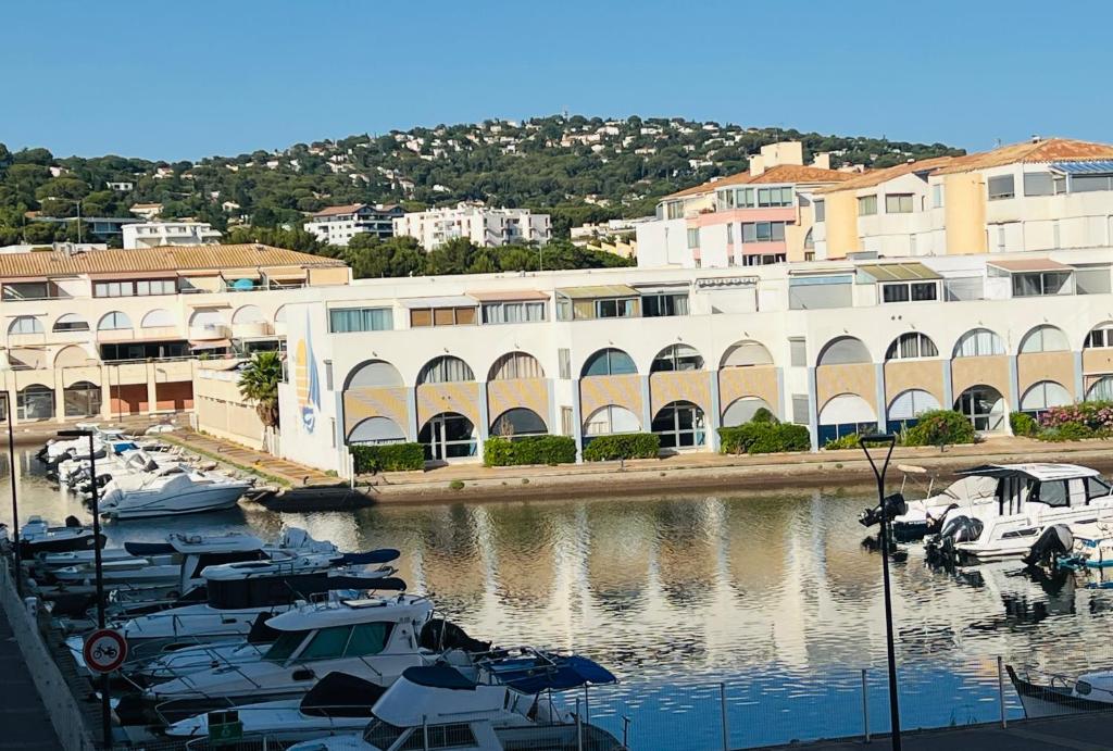 Superbe vue marina proche mer - 3
