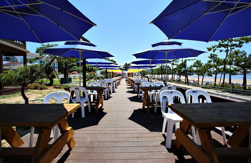 Hotel Mallipo photo