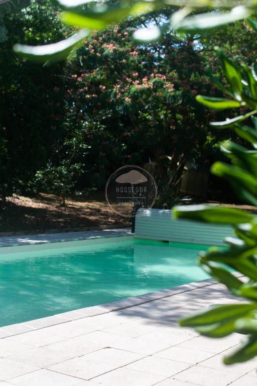 Villa Igelak - Hossegor - Centre - Lac - Piscine - 5