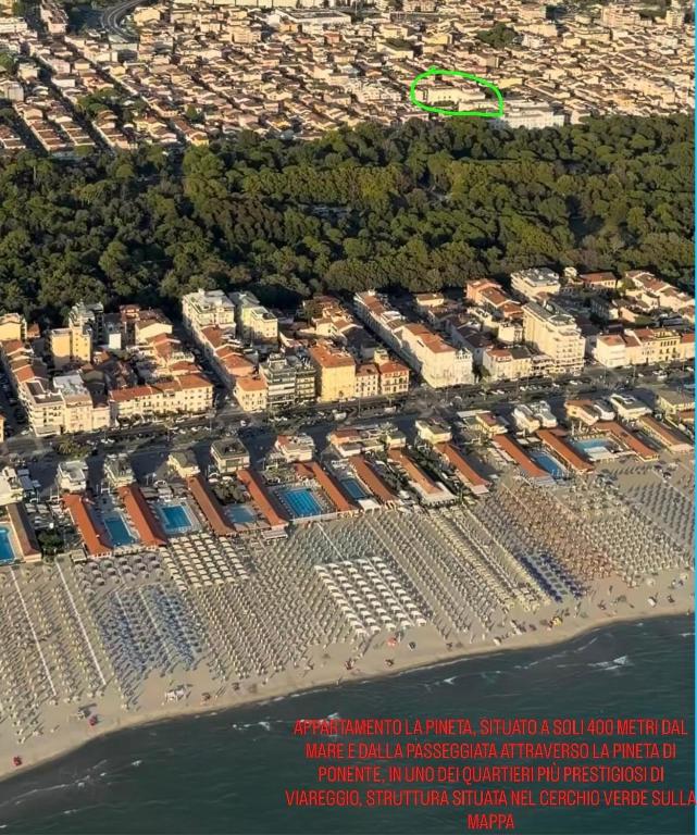 Appartamento La Pineta - 4
