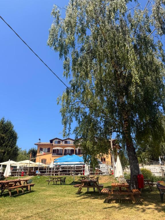 Hotel Monte Baldo - 5