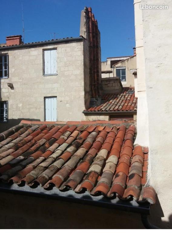 Beau F2 de 50 m2 spacieux style loft au calme avec Wifi - 1