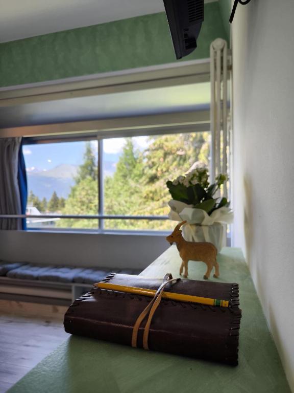 Suite apartment Marilleva 2 bedroom private parking - 4