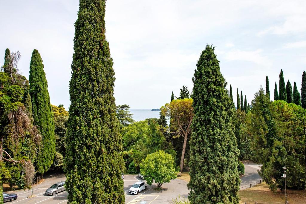 Michela flat in gardone - 5
