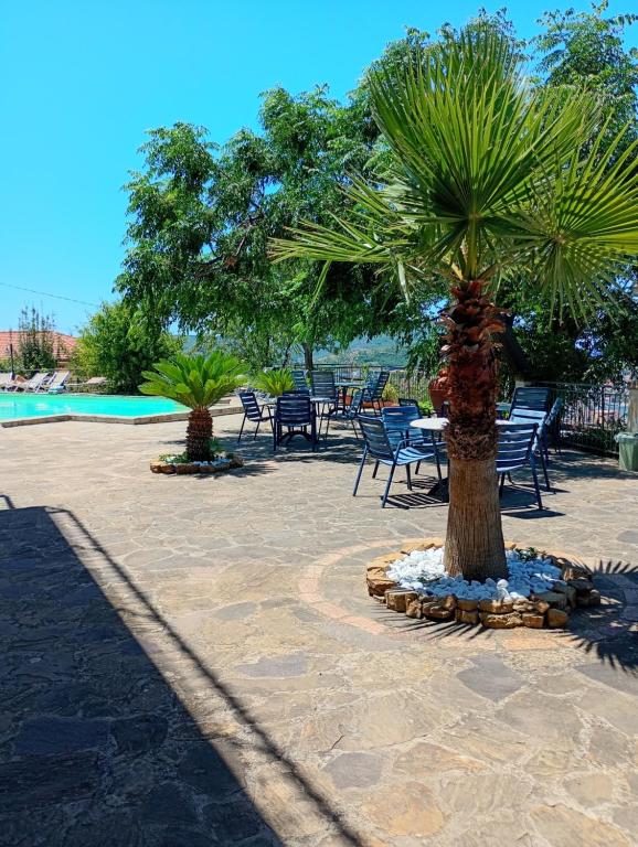Villa Malandrino Guest House - 3