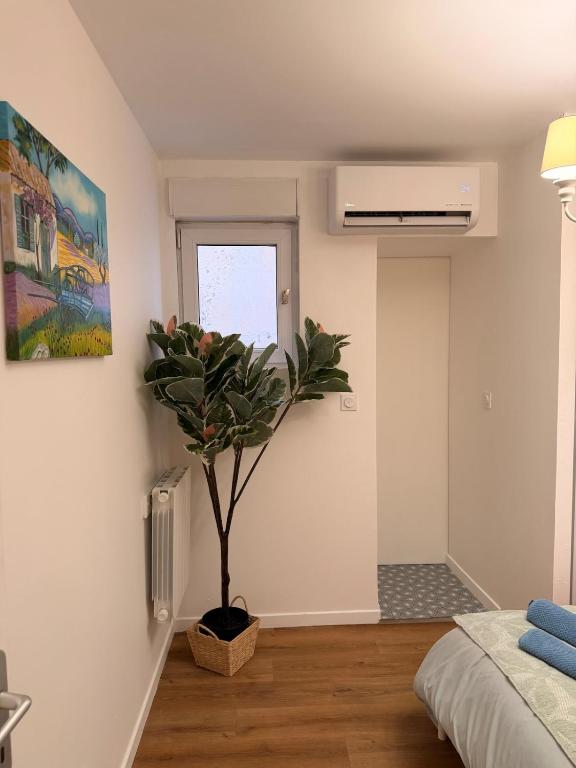 Appartement Mattia centre-ville - 4