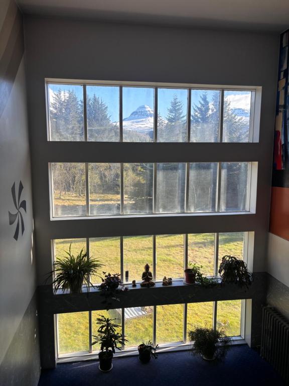 View