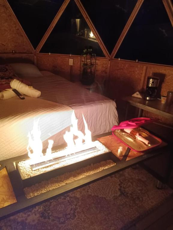 Hotel Deluxe Glamping - 3