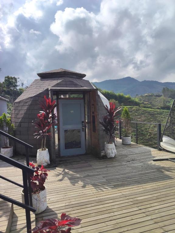 Hotel Deluxe Glamping - 4