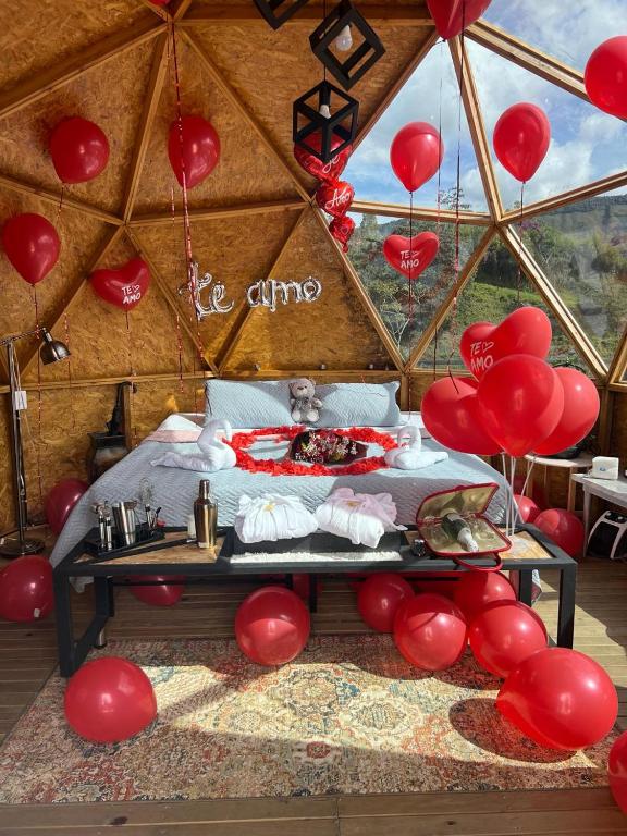 Hotel Deluxe Glamping - 5