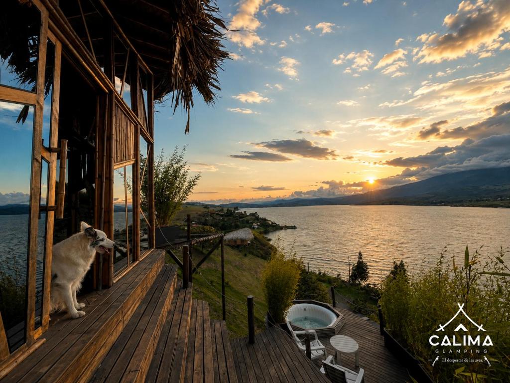 Calima Glamping - El Despertar de las Aves - 1