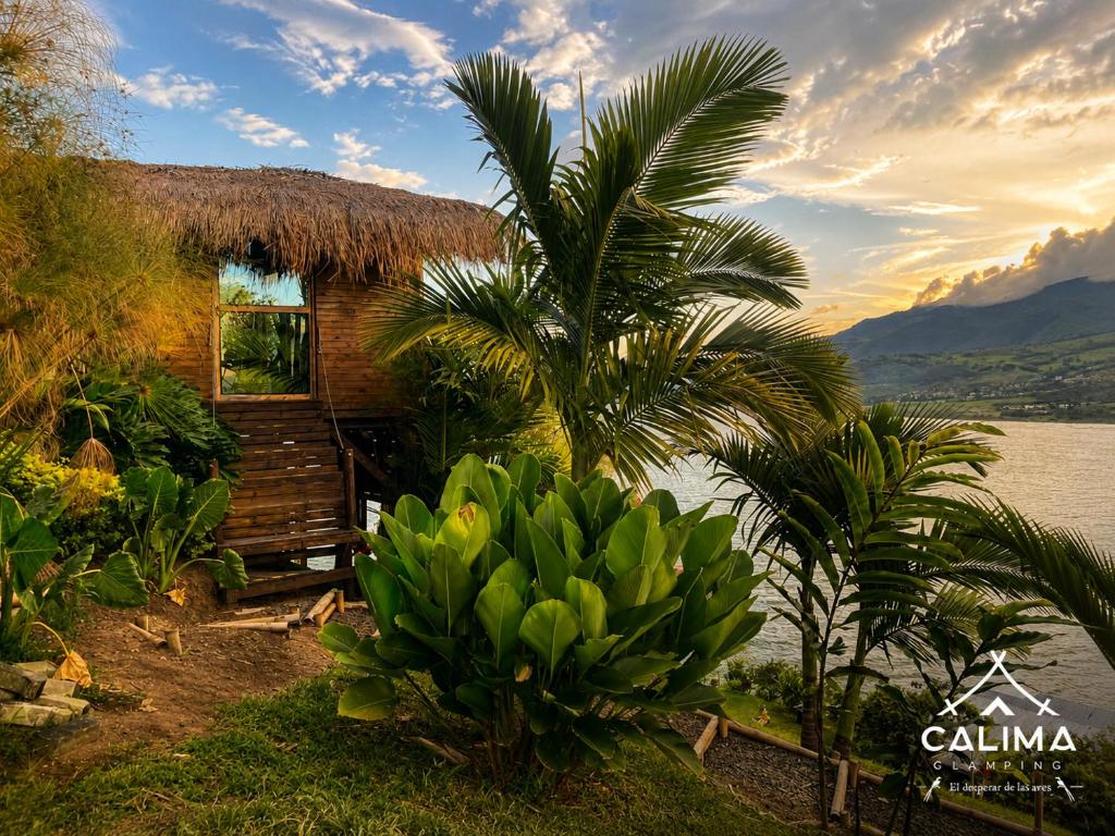 Calima Glamping - El Despertar de las Aves - 4