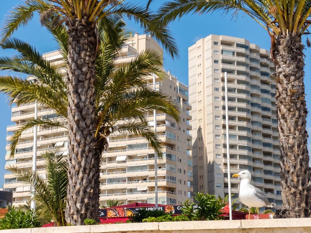 Bright Apartment in Calpe 100m² with Sea View & Pool - 4