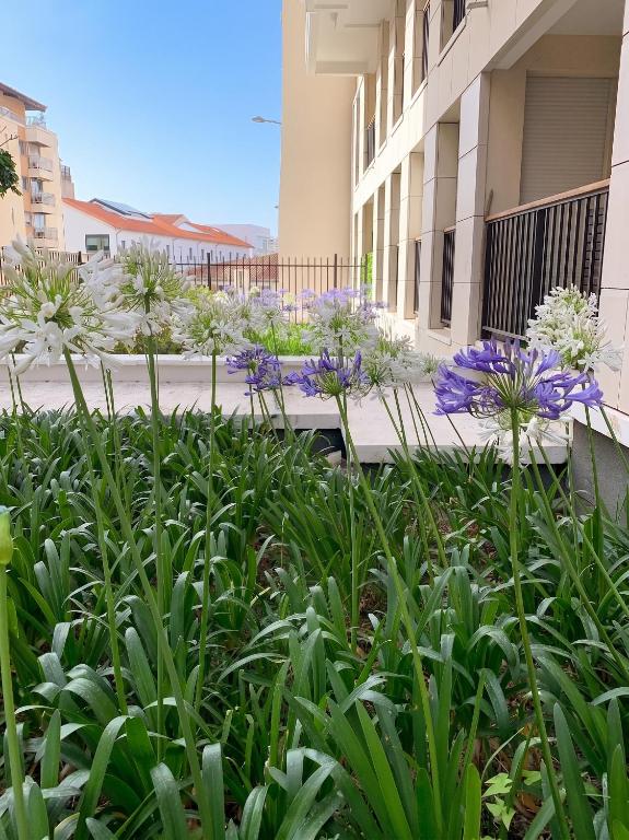 Appartement Moderne à Marseille avec Balcon et Vue sur Jardin - 5