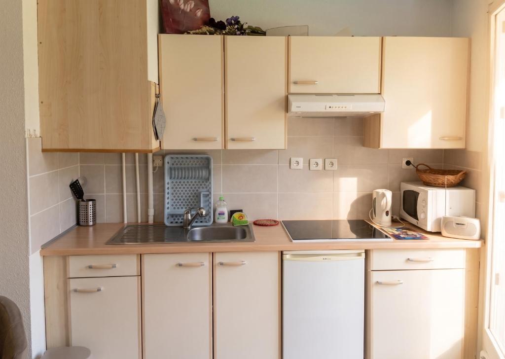 Studio confortable à Amélie-les-Bains-Palalda 28 m² avec balcon - 4