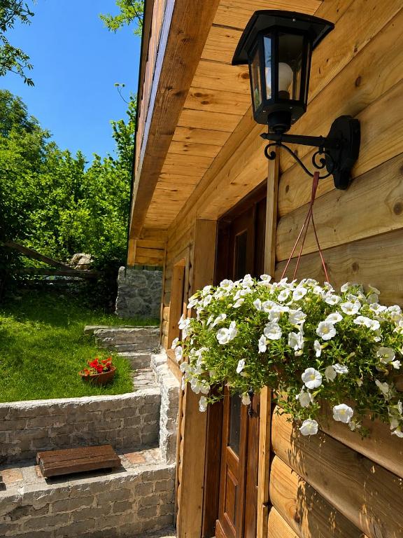 Peaceful Mountain Cabin Escape - 3