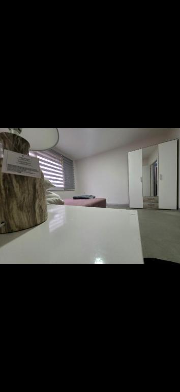 Apartman Stan Sokobanja - 5