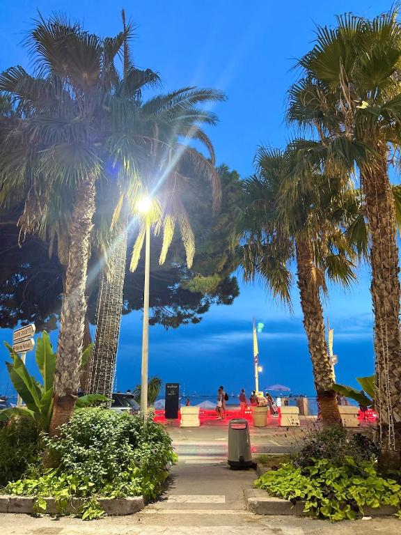 Cosy flat 10 min by walk from rue d Antibes - 4