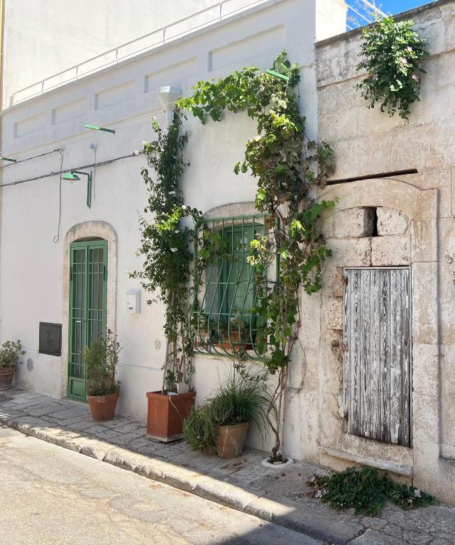 Casa ad Arte Donna Ada - 2
