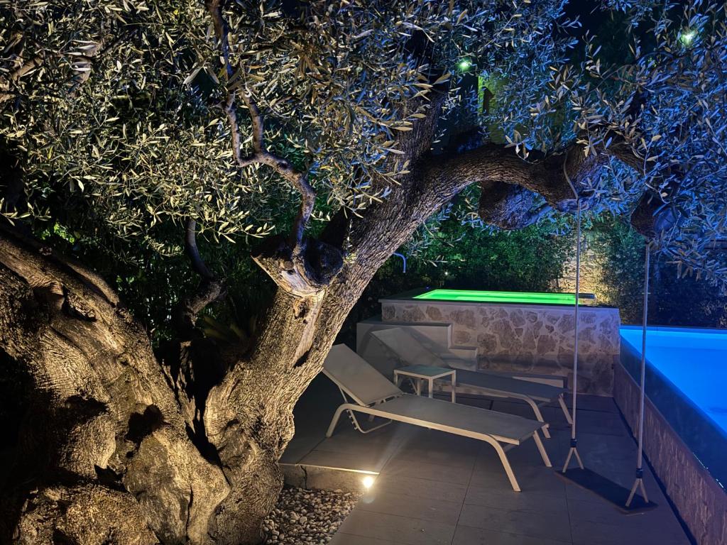 Palms Suite - 2