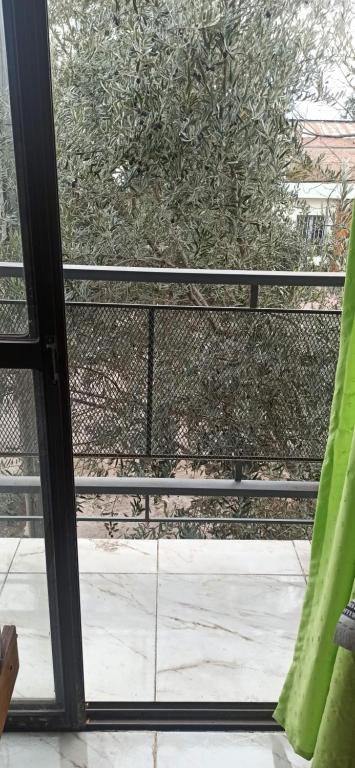 San José - 2