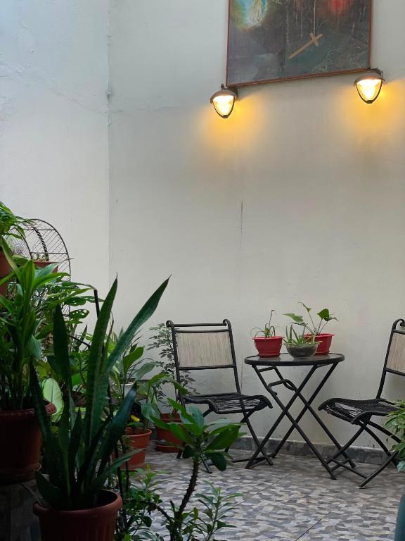 Room in the heart of Iquitos - 3