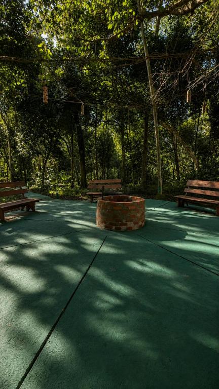 Tupa Lodge Selva y Rio - 5
