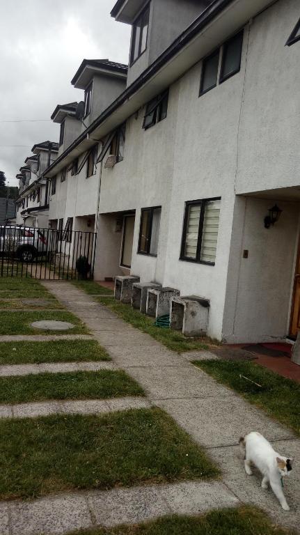 Big Attico, Puerto Montt