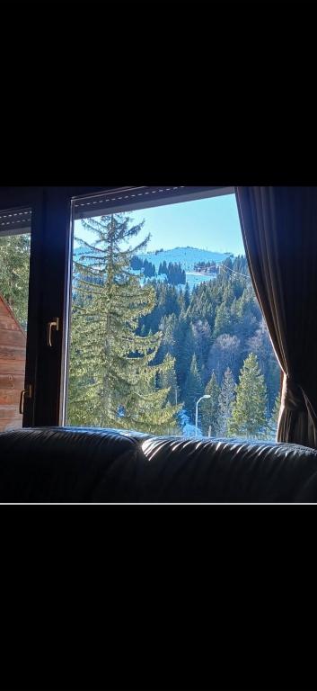 Jahorina Ski View Apartman - 1
