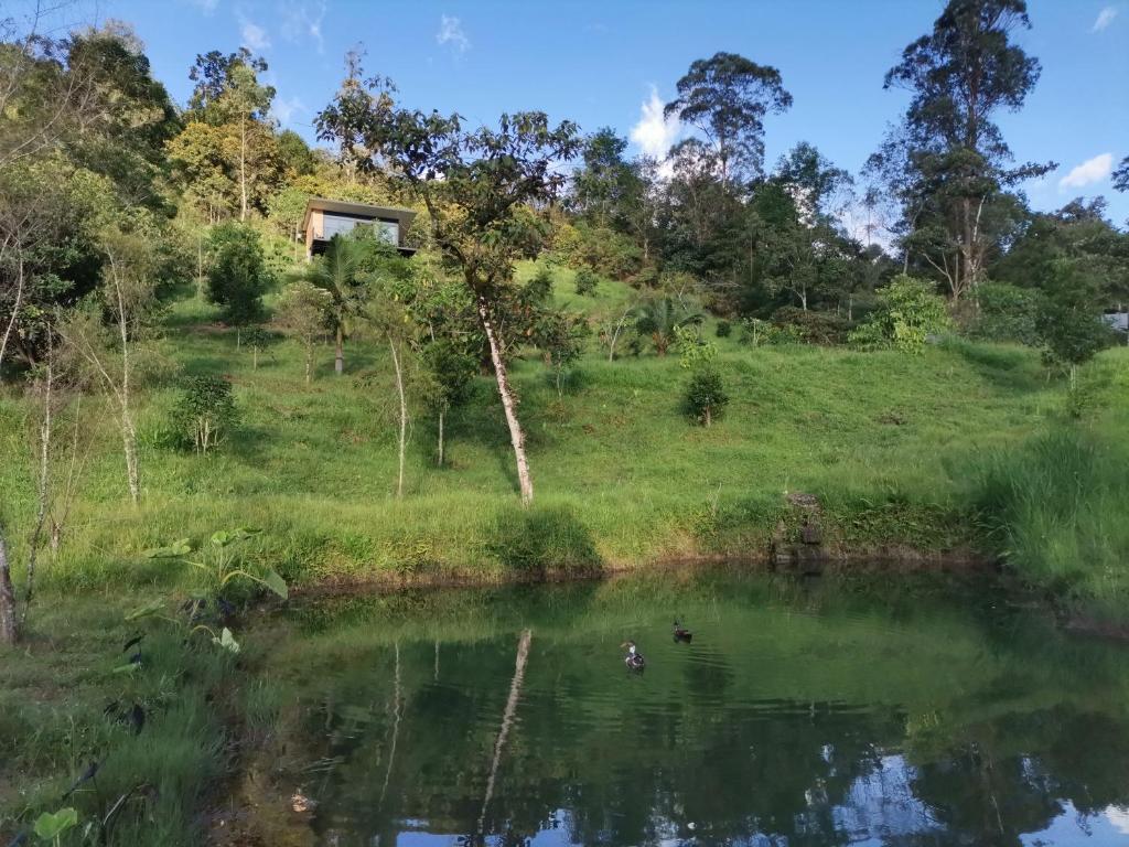 Cabaña Guane - 4