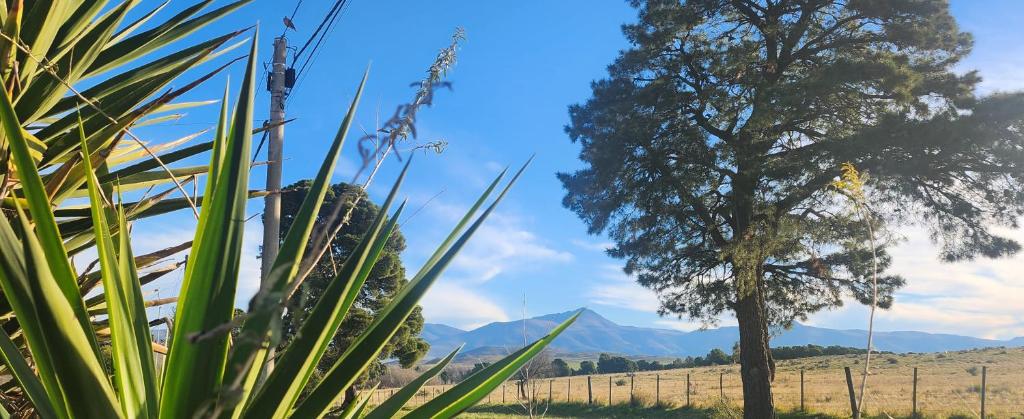 Casa con vista al Cerro Tres Picos - 2