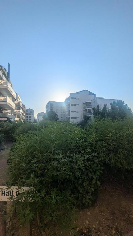 Bel Appartement Lumineux Lyon 7 - 3