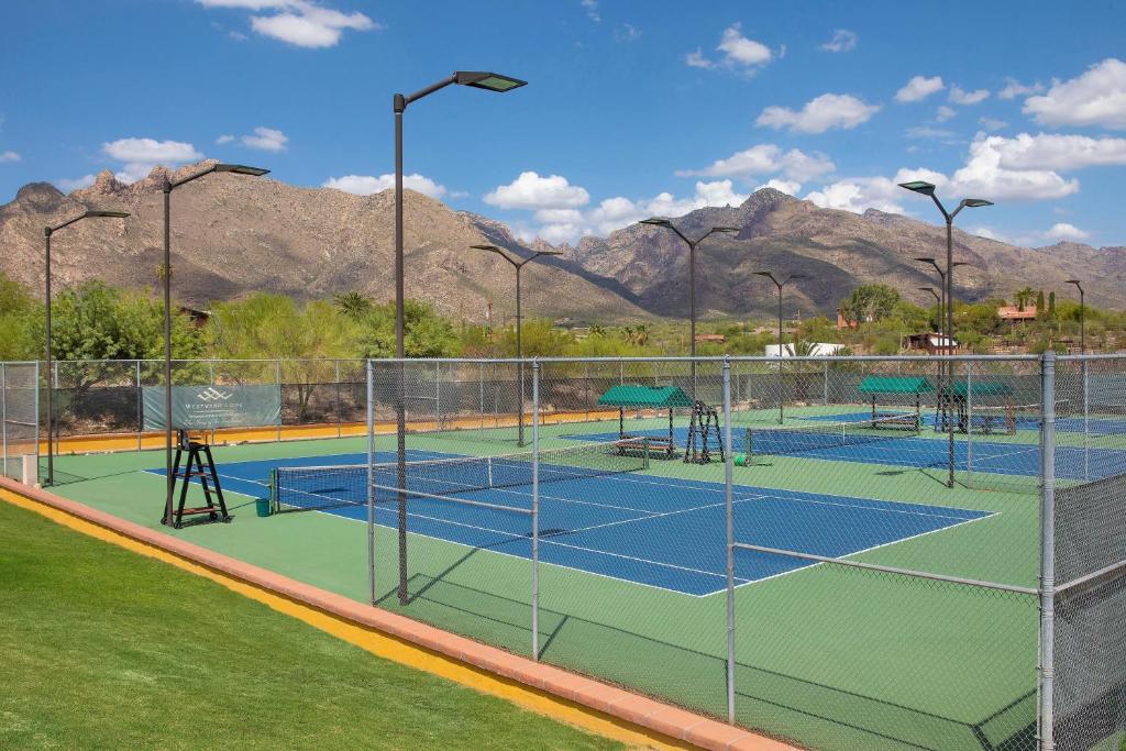 Tennis court